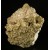 Smoky quartz and muscovite on granite Galicia M02482